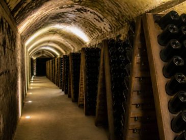 Champagne collard-picard : une maison à suivre pour ses cuvées