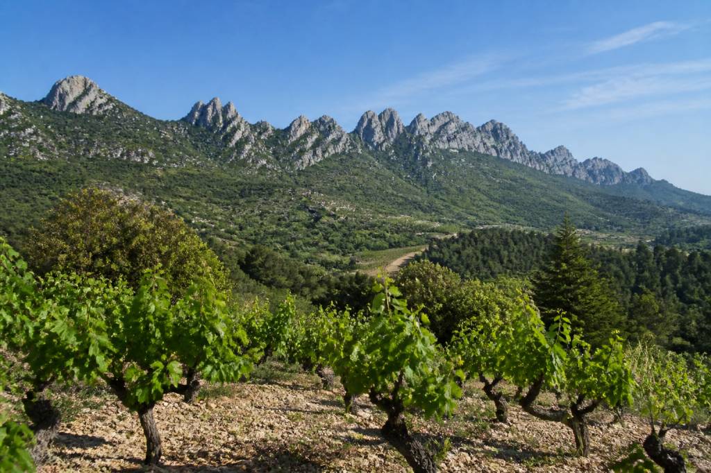 Cave gigondas : terroir, vins et paysages des dentelles de montmirail