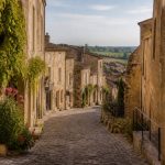 Rioja vin : comprendre les terroirs et les classifications espagnoles