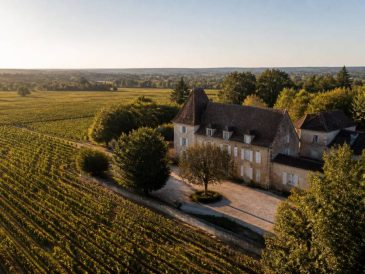 Château les chaumes : repères pour découvrir ce domaine viticole
