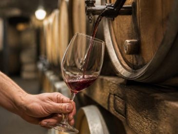 Vin vegan c'est quoi : fabrication, clarification et repères pour s’y retrouver