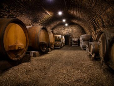 Cave de fleurie : immersion dans un cru du beaujolais