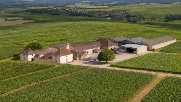 Champagne richard royer : un domaine de champagne à découvrir
