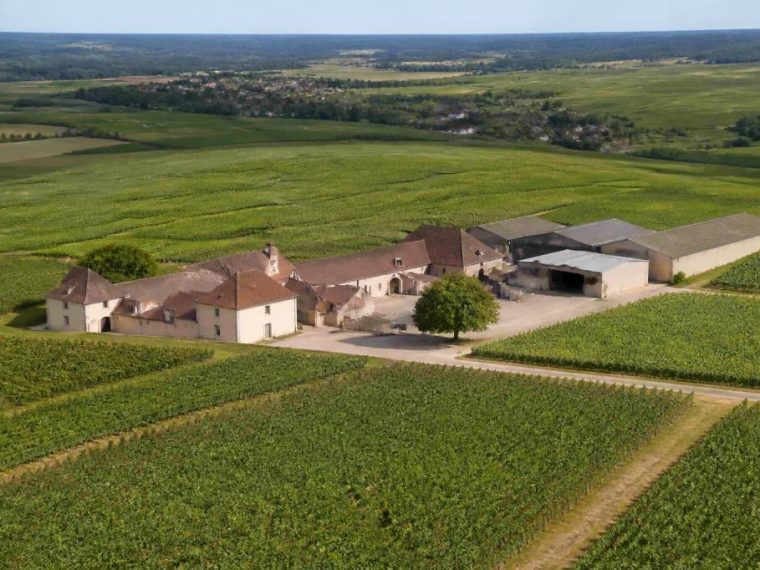 Champagne richard royer : un domaine de champagne à découvrir