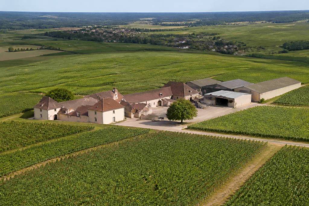 Champagne richard royer : un domaine de champagne à découvrir