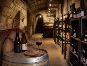 Caveau de saint-aubin : haltes, vins et idées de dégustation