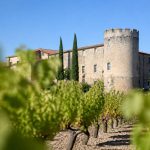 Banyuls terre des templiers : visite, terroir et vins emblématiques