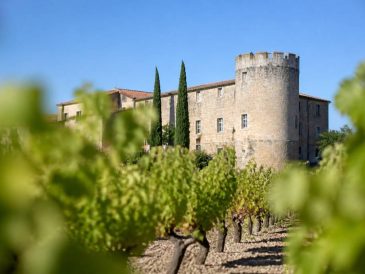 Chateau de gigognan : histoire, vins et identité d’un domaine de caractère