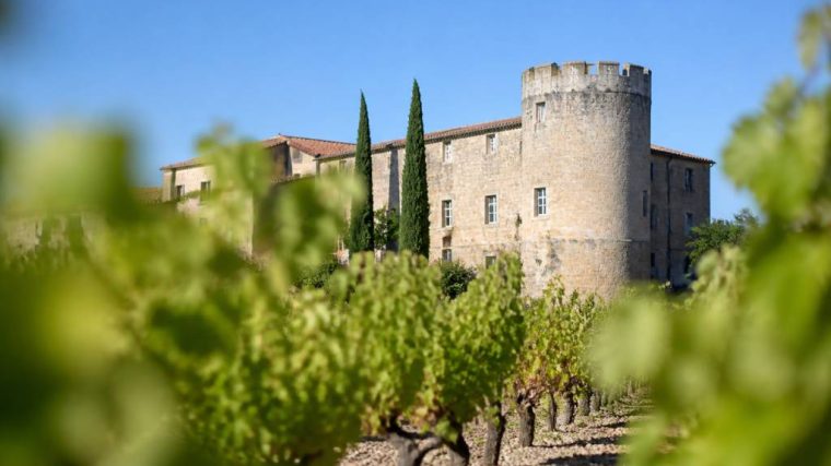 Chateau de gigognan : histoire, vins et identité d’un domaine de caractère