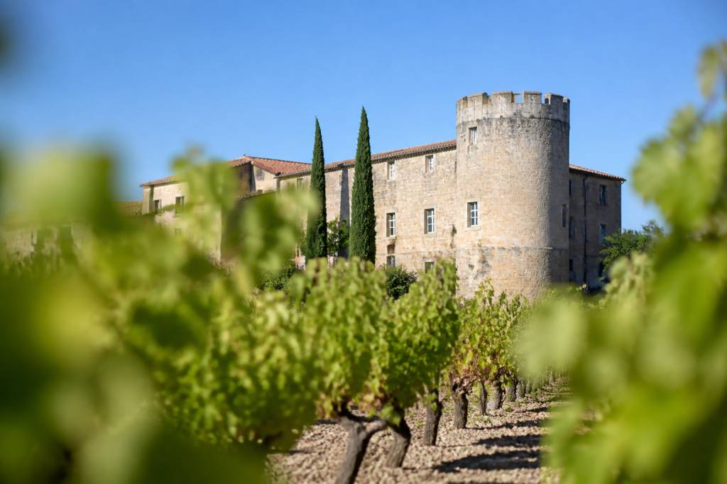 Chateau de gigognan : histoire, vins et identité d’un domaine de caractère