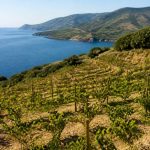 Chateau croix beausejour : histoire et vins d’un nom bordelais