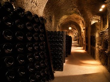 Champagne huguenot tassin : style, terroir et approche de la maison