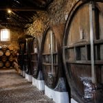Viognier rouge : mythe, confusion et différences à connaître