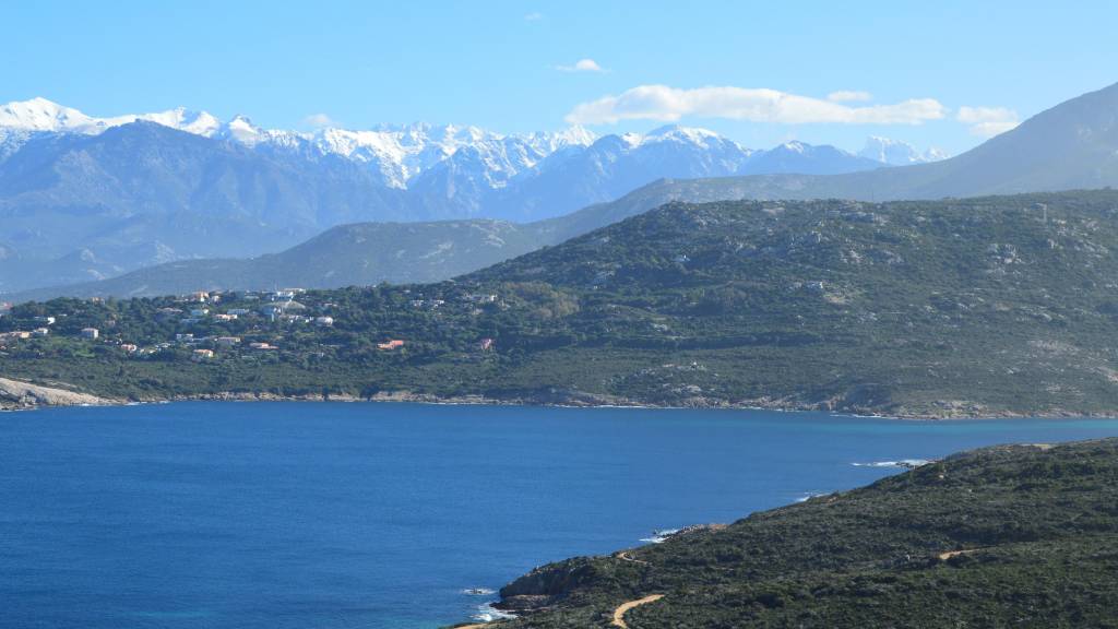 Vin sant armettu rosumarinu